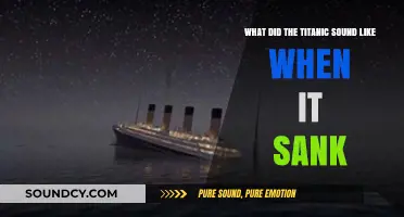 Echoes of Tragedy: The Haunting Sounds of the Titanic's Demise