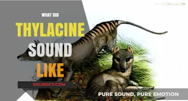 Unveiling the Thylacine's Lost Voice: Reconstructing the Tasmanian Tiger's Sounds
