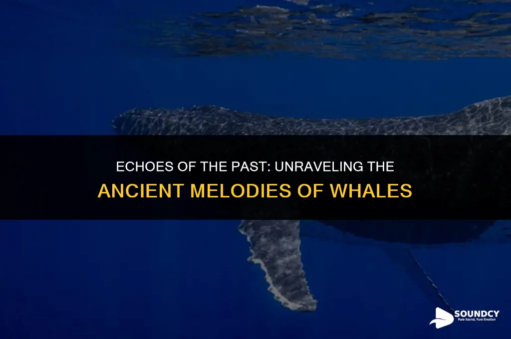 what did whalesongs sound like five thousand years ago