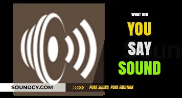 What Did You Say? Exploring the Science and Impact of Sound