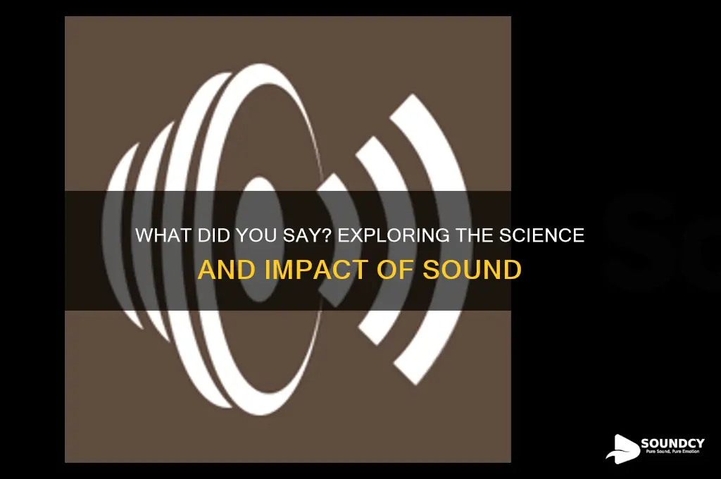 what did you say sound