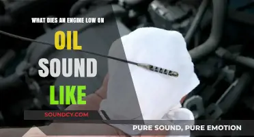 Engine Oil Crisis: Decoding the Sounds of a Low Oil Engine
