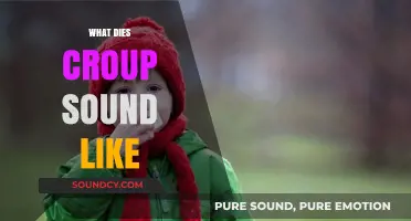 Understanding Croup: Identifying the Distinctive Barking Cough and Noisy Breathing