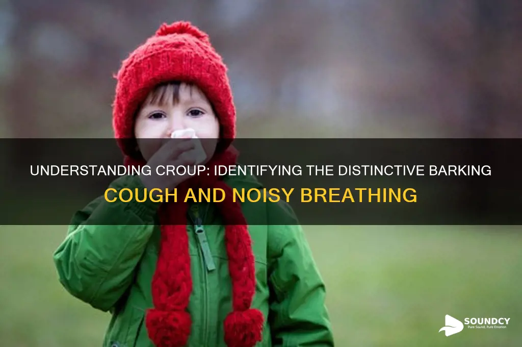 what dies croup sound like