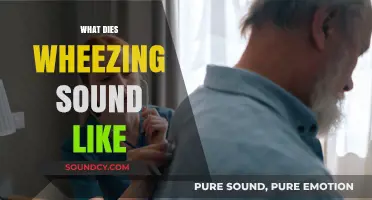 Understanding Wheezing: What Does This Breathing Sound Like?