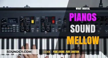 Discover Mellow-Sounding Digital Pianos: Top Picks for Smooth Melodies