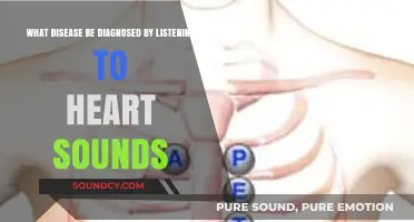 Decoding Heart Health: Diseases Diagnosed Through Heart Sounds