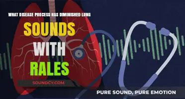 Unraveling the Mystery: Disease Processes Behind Diminished Lung Sounds with Rales