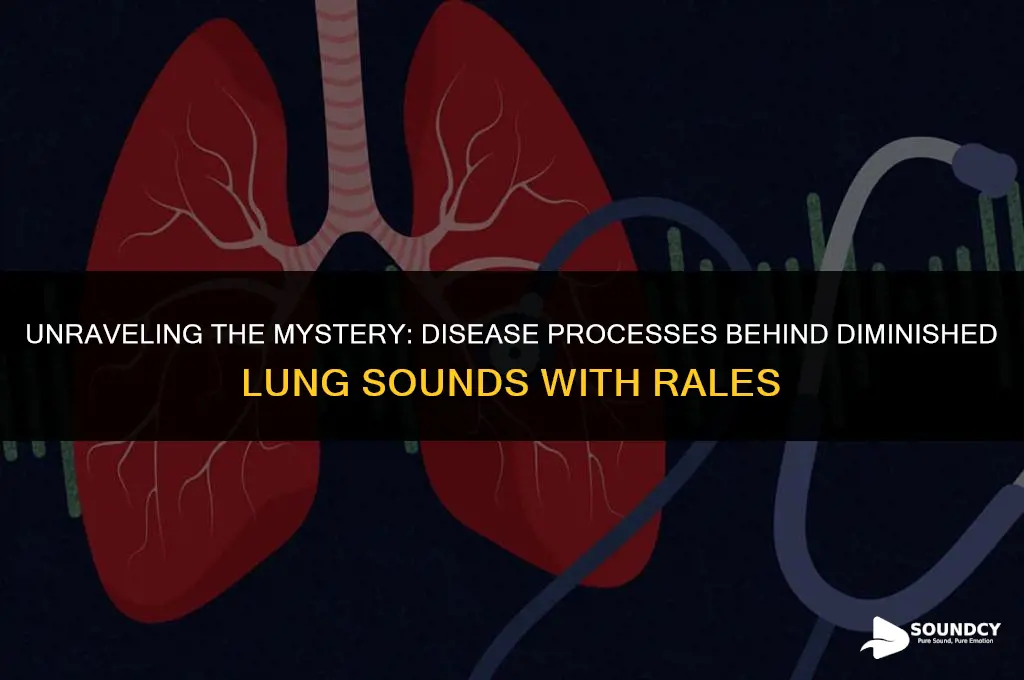 what disease process has diminished lung sounds with rales