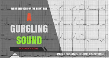 Understanding the Gurgling Sound: Aortic Stenosis Explained