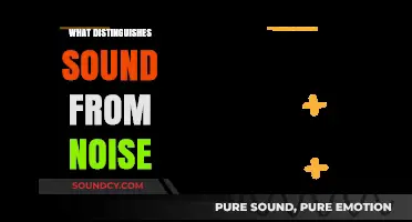 Sound vs. Noise: Understanding the Key Differences and Distinctions
