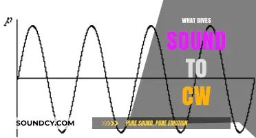 Exploring the Factors That Drive Sound to Continuous Waveforms