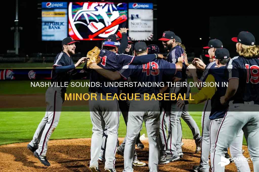 what division is nashville sounds