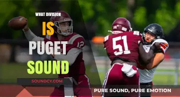 Puget Sound's Athletic Division: Understanding Its Classification and Competition