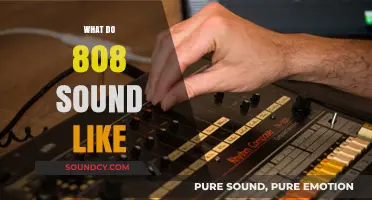 Unveiling the Iconic 808 Sound: A Deep Dive into Its Signature Bass