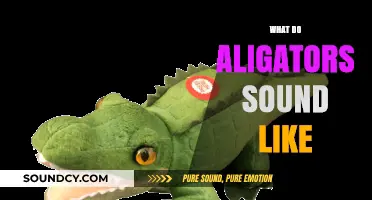 Unveiling the Mysterious Roars: What Do Alligators Sound Like?