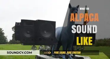 Unveiling the Unique Sounds of Alpacas: A Vocal Exploration