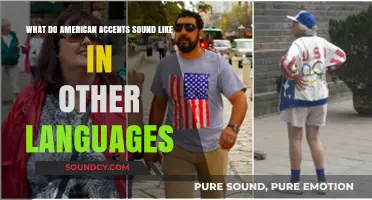 Echoes of American Accents: A Linguistic Journey Across Borders