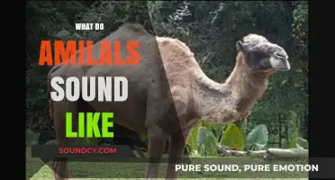 Exploring the Unique Sounds Animals Make in the Wild