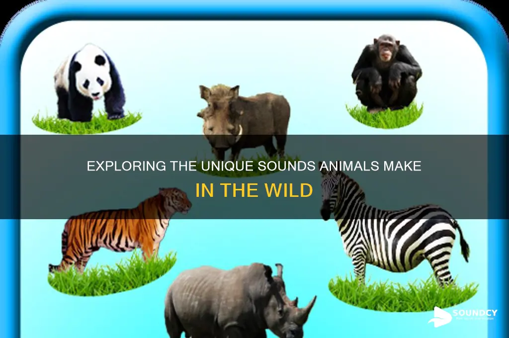 what do amilals sound like