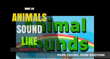 Exploring the Unique Vocalizations: What Do Animals Sound Like?