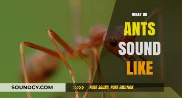 Unveiling the Tiny Symphony: Exploring the Surprising Sounds of Ants