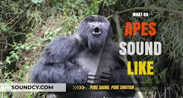 Unveiling the Unique Vocalizations: What Do Apes Sound Like?