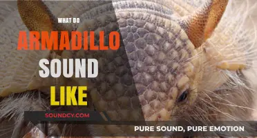 Unveiling the Unique Noises: What Sounds Do Armadillos Make?