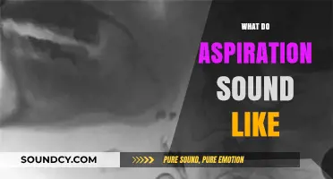 Decoding Aspiration: The Audible Echoes of Dreams and Ambitions