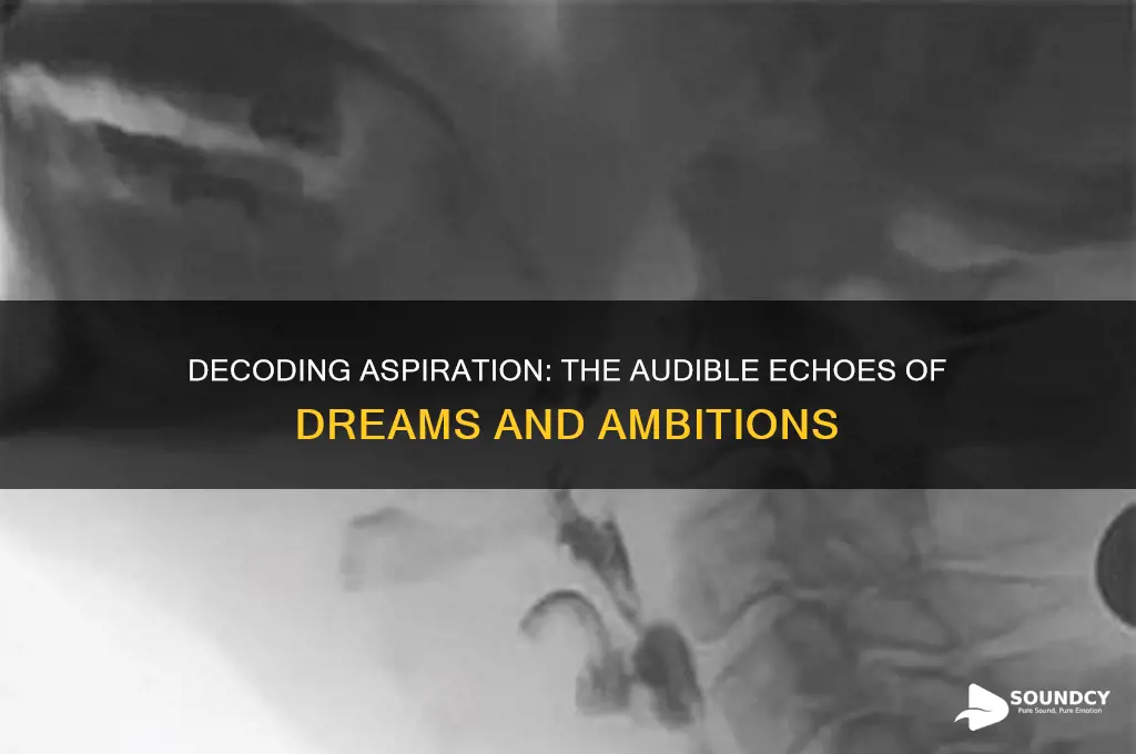 what do aspiration sound like
