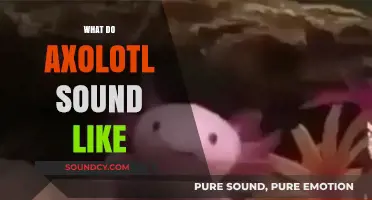 Unveiling the Mysterious Sounds of Axolotls: What Do They Sound Like?
