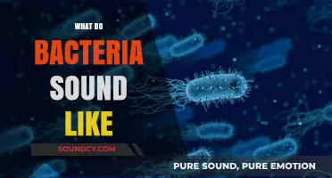 Unveiling the Sonic World: What Do Bacteria Sound Like?