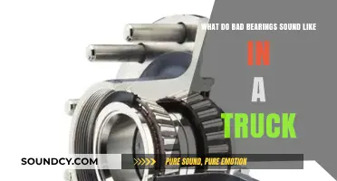 Decoding the Noise: Signs Your Truck's Bearings Are Failing