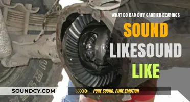 Decoding the Noises: What Do Bad Diff Carrier Bearings Sound Like?
