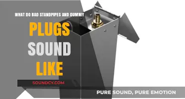 Decoding the Noises: Bad Standpipes and Dummy Plugs Explained
