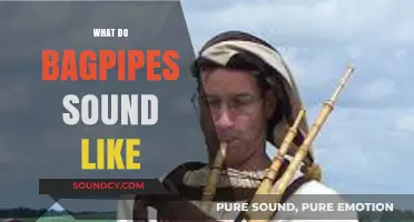 Unraveling the Unique, Haunting Melody of Traditional Bagpipe Sounds