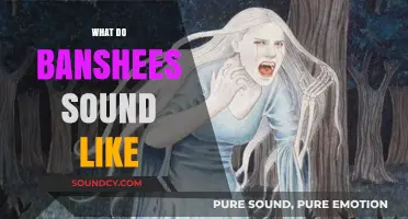 Unveiling the Eerie Wail: What Do Banshees Really Sound Like?