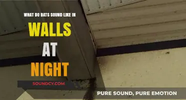 Nocturnal Whispers: Decoding the Mysterious Sounds of Bats in Walls
