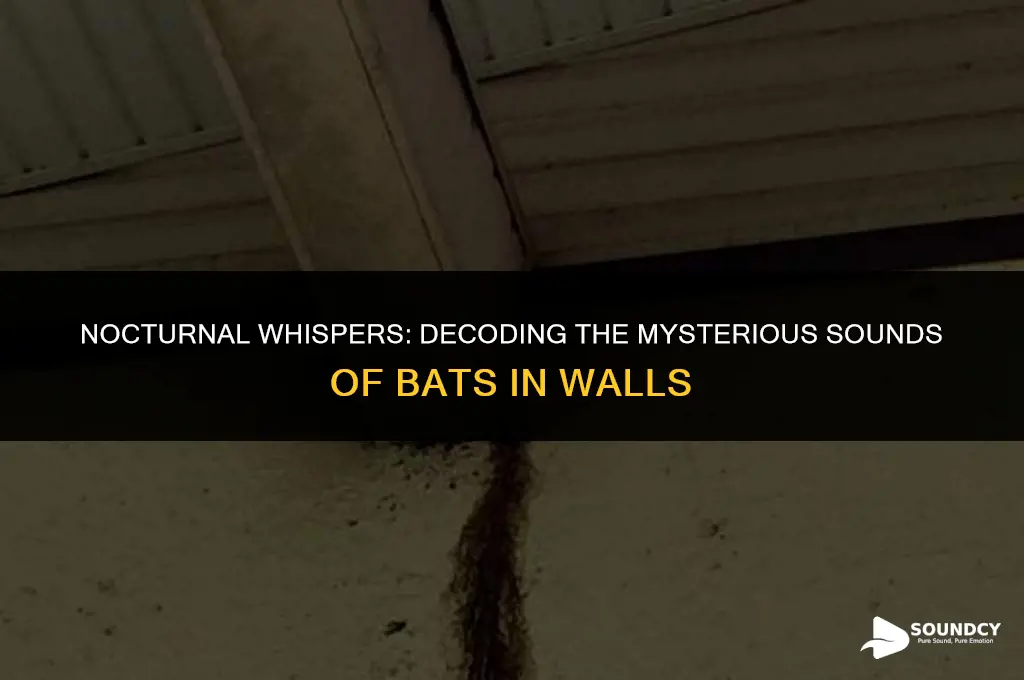 what do bats sound like in walls at night