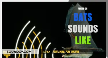 Unveiling the Unique Echoes: What Do Bat Sounds Really Sound Like?