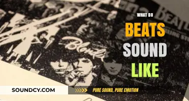 Exploring the Sonic Signature: What Do Beats Actually Sound Like?