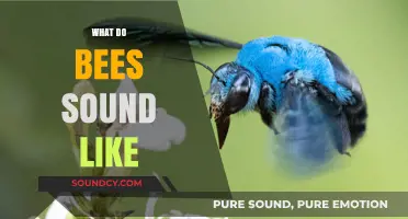 The Buzzing Symphony: Unveiling the Unique Sounds of Bees
