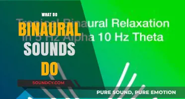Exploring Binaural Beats: How They Affect Brain Waves and Relaxation