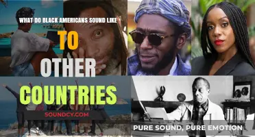 Echoes of Diversity: How Black American Voices Resonate Abroad