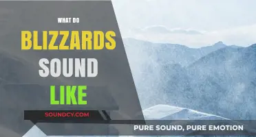 The Haunting Symphony of Blizzards: Unveiling Nature's Chilling Soundscape