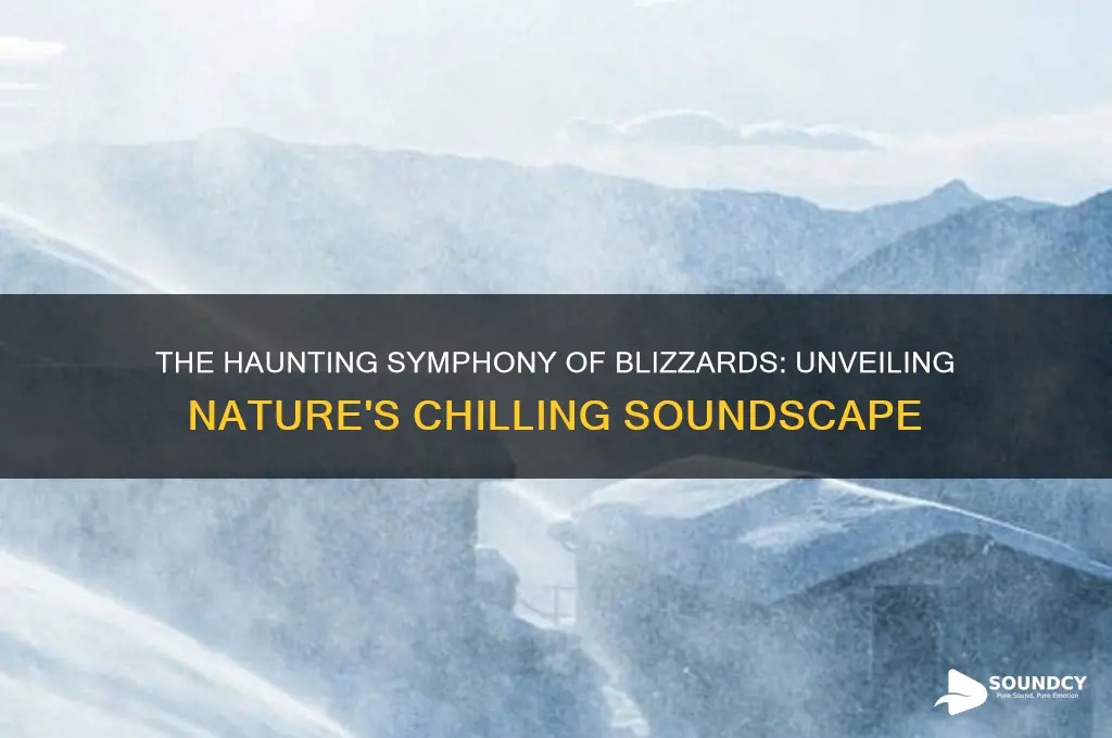 what do blizzards sound like