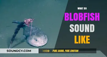 Unveiling the Mysterious Sounds of the Deep-Sea Blobfish