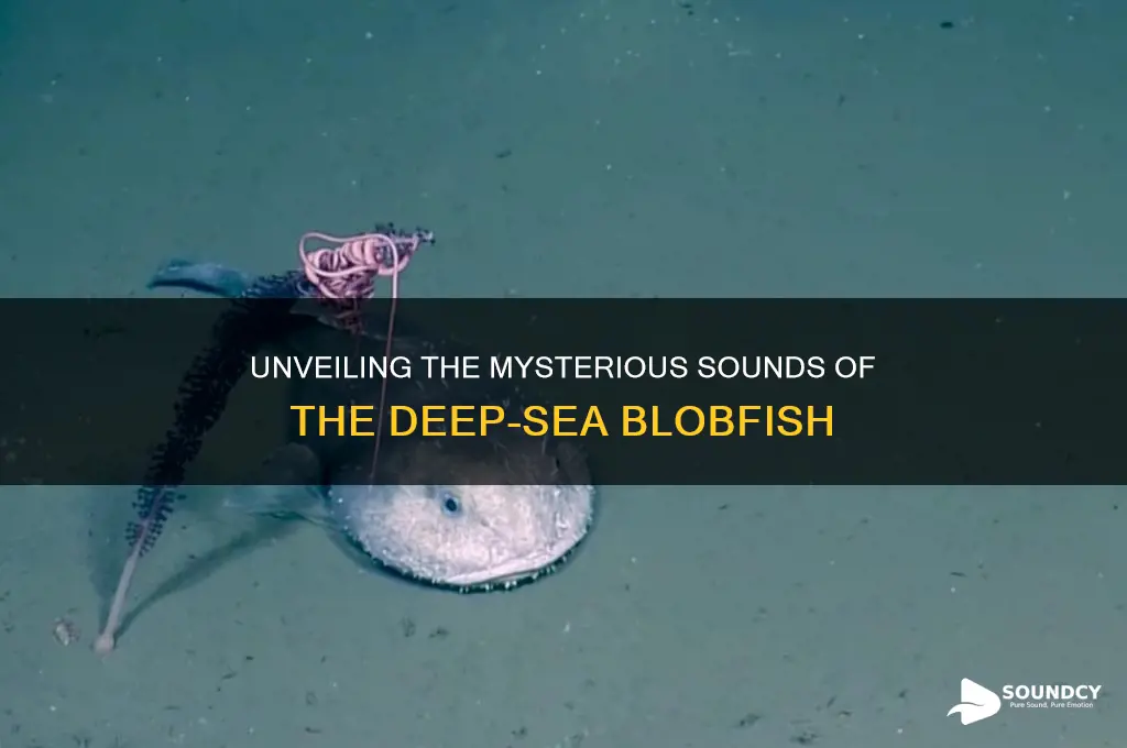 what do blobfish sound like