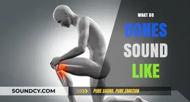 Unveiling the Eerie, Crunching Symphony: What Do Bones Sound Like?