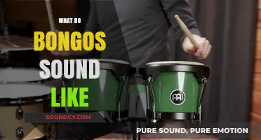 Exploring the Unique, Rhythmic, and Vibrant Sounds of Bongos